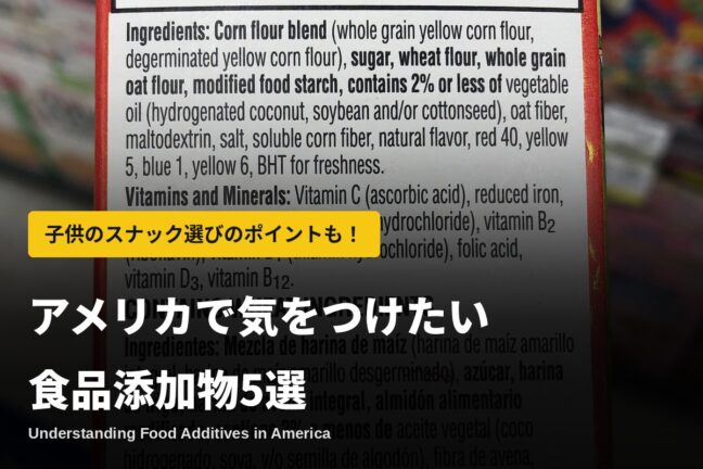 アメリカで気をつけたい食品添加物5選と子供のスナック選びのポイント