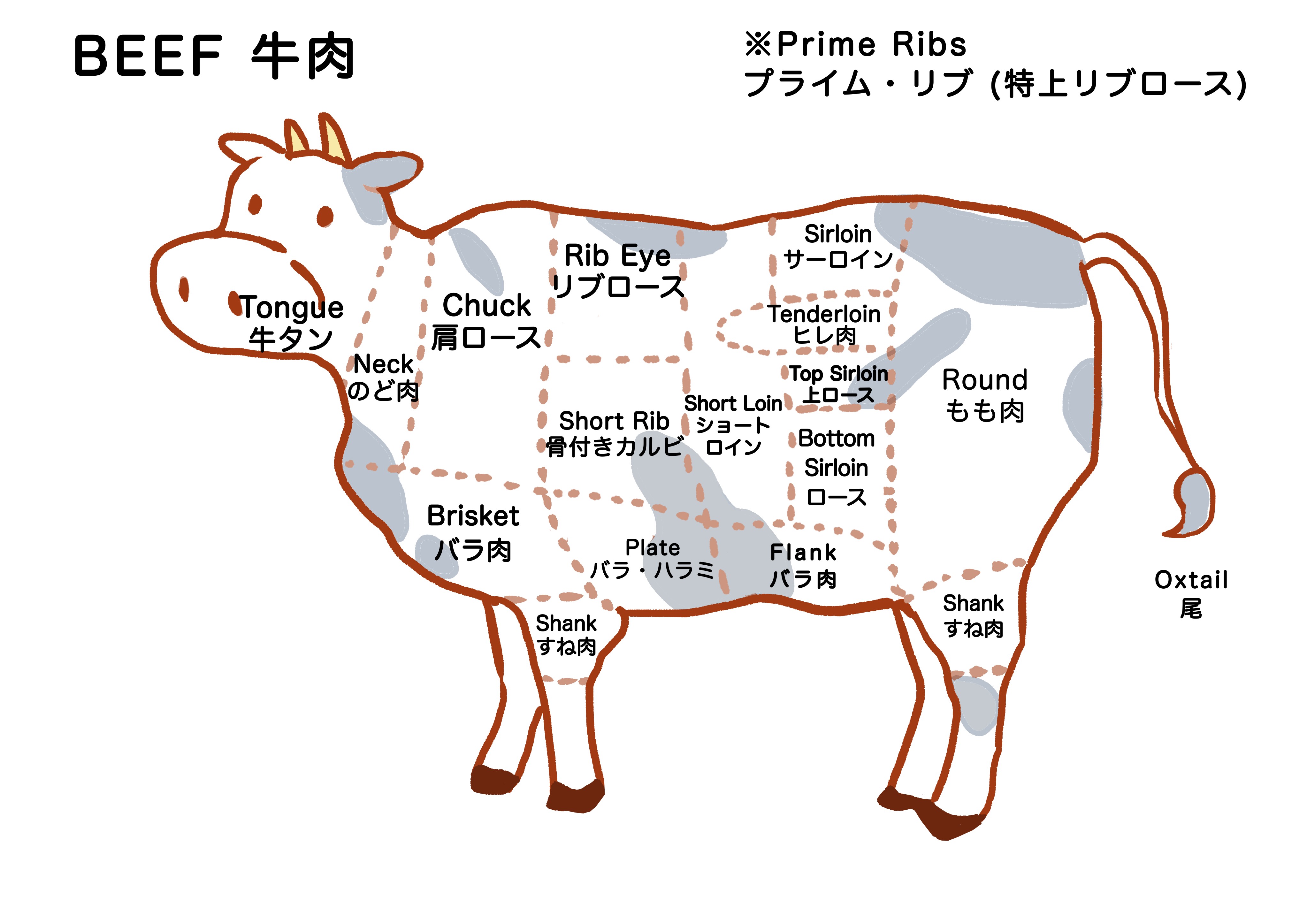 牛肉の部位の英語