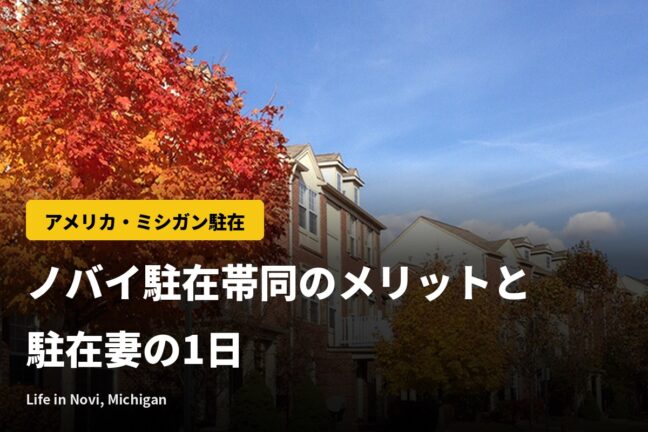ミシガン州ノバイ駐在帯同のメリット3つとノバイ駐在妻の1日