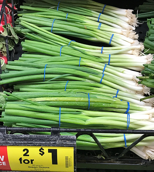 Scallion