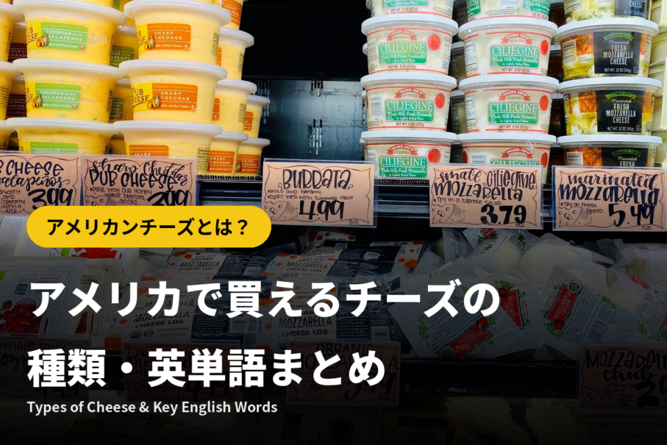 アメリカンチーズとは？アメリカで買えるチーズの種類・英単語まとめ