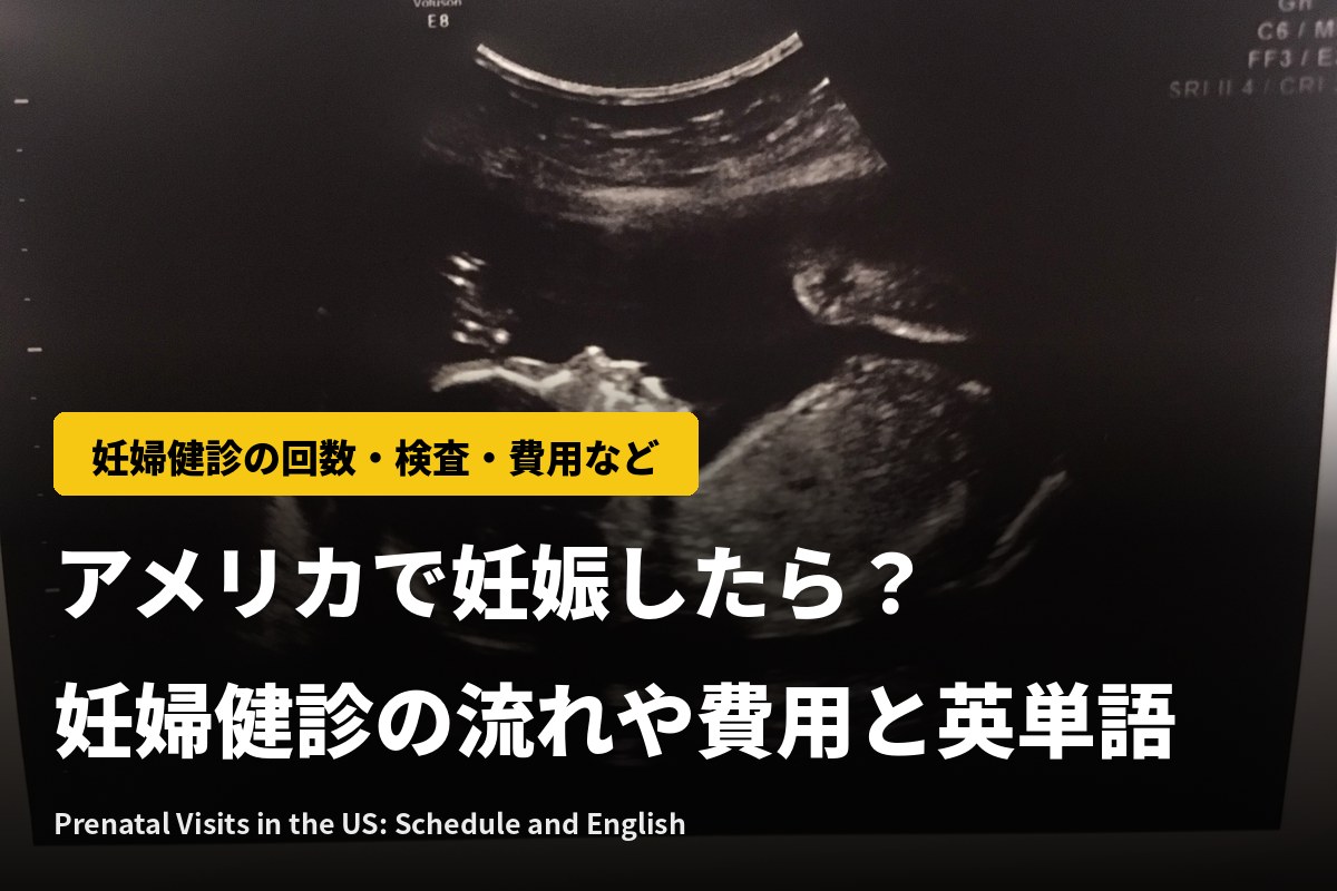 アメリカで妊娠したら？妊婦健診の回数・検査・費用と健診でよく聞く英語